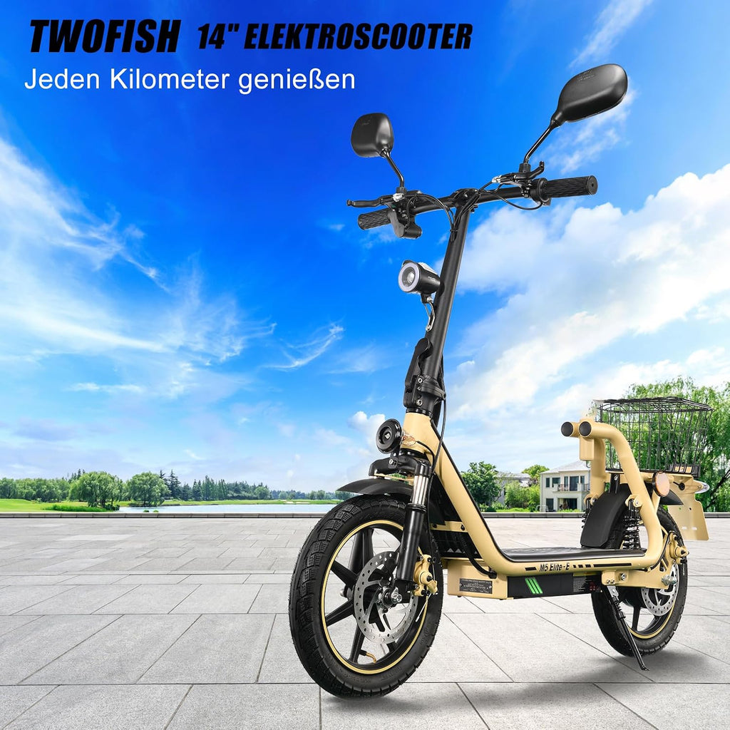 Patinete eléctrico TWOFISH M5 Elite con homologación para carretera para adultos, patinete eléctrico de 14 pulgadas con motor de 500W y batería de 48V 13Ah, doble suspensión, certificado EEC, IPX4, 30 km de autonomía