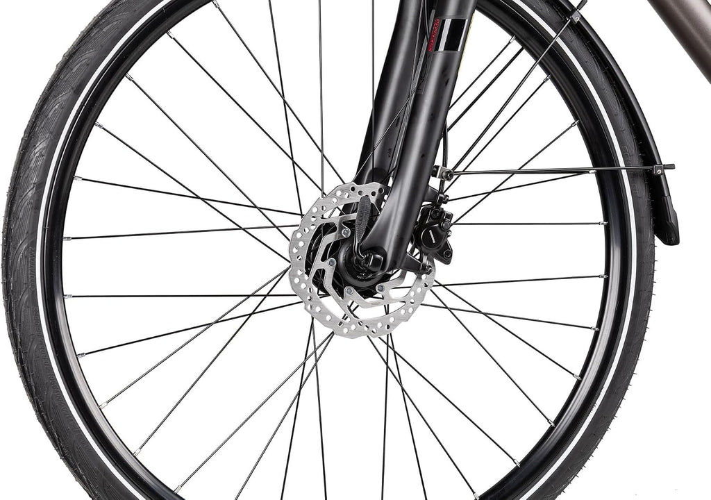 TLX30 | Bicicleta de trekking | Bicicleta de hombre de 28 pulgadas | Transmisión de 30 velocidades | Frenos de disco hidráulicos | Incluye equipamiento urbano