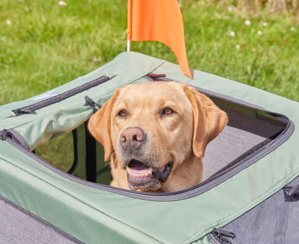 Remolque para perros, carrito para bicicleta, cochecito Cruvado hasta 45 kg, plegable, estructura de acero, correa de seguridad, reflectores, enganche universal