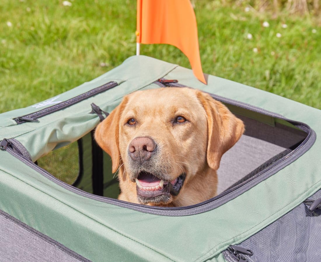 Remolque para perros, carrito para bicicleta, cochecito Cruvado hasta 45 kg, plegable, estructura de acero, correa de seguridad, reflectores, enganche universal