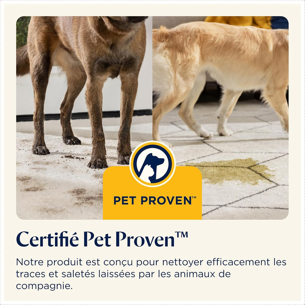 BISSELL SpotClean Pet Pro, Limpiador de tapicerías, potente motor de 750W, ideal para dueños de mascotas, limpiador de alfombras, moquetas, muebles, tejidos, coche y más, 15585