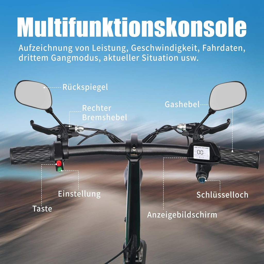 Patinete eléctrico TWOFISH M5 Elite con homologación para carretera para adultos, patinete eléctrico de 14 pulgadas con motor de 500W y batería de 48V 13Ah, doble suspensión, certificado EEC, IPX4, 30 km de autonomía