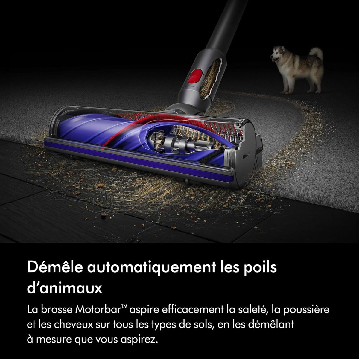 Aspiradora inalámbrica Dyson V8 Advanced, 130 AW, hasta 40 minutos de autonomía, cepillo Motorbar antienredos, elimina el pelo de mascotas, aspiradora de mano y suelo